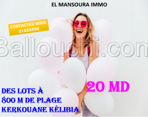 Terrain a vendre à kerkouane kélibia 29711072