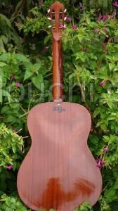 Guitare acoustique