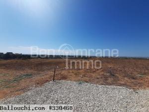 terrain