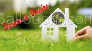 Terrain TH923 Sidi Mahrsi :