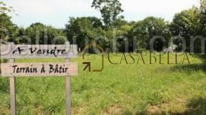Un terrain agricole à Kalaa Kebira
