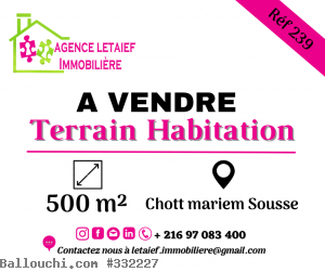 Réf 239 Terrain a chott mariem