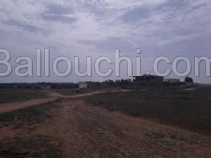 Terrain de 287 m2 a 66 000 d
