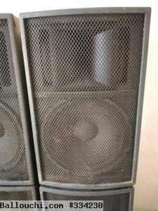 Baffle professionnel