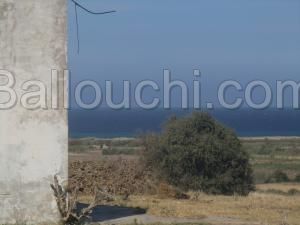 maison a vendre arab situé pres de la plage sable blanc