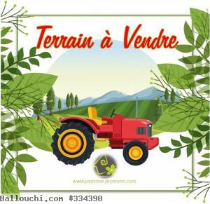 Terrain TAG134 BIZERTE :