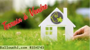 Terrain TH1031 Ceinture Hammamet :