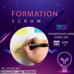 Formation Scrum master en ligne