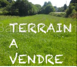 Vente 1 hectare
