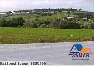 Terrains a vendre de 8000m² a tamozrat kélibia