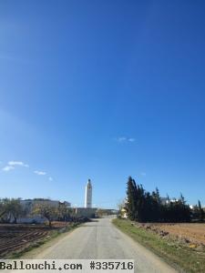 Terrain constructible à bas prix à Hammamet sud