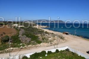 Terraine a vendre vus sur mer Dar Allouche Kélibia