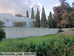 terrain A Vendre -hammamet nord 29256216