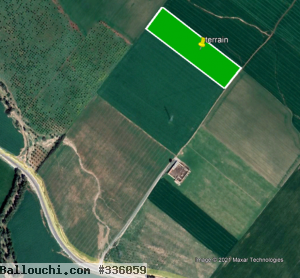3 hectares pour grande cultures ou arborisation