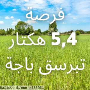 5,4 hectares pour grande cultures ou arborisation