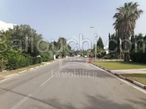 à vendre un terrain 400m² à MREZGA 51333131