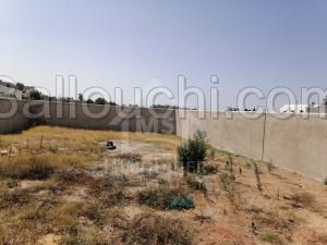à vendre un terrain 354m² à BIRBOURAGBA 51333131