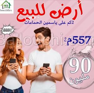 à vendre un terrain 557m² à HAMMAMET SUD 51333131