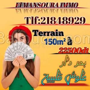 Terrain a vendre vus sur mer Dar Allouche Kélibia