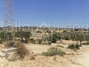 DES LOTS DE TERRAIN à VENDRE à MREZGA 51333131