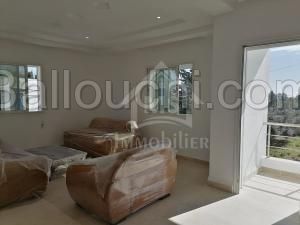 à vendre un appartement S+3 à HAMMAMET NORD 51333131