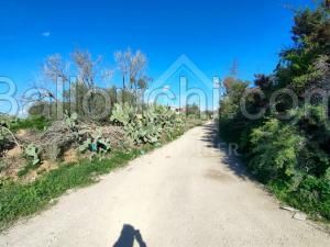 à vendre un terrain 210m² à HAMMAMET 51333131