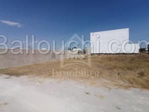 à vendre un superbe terrain 354 m² à BIRBOURAGBA 51333131