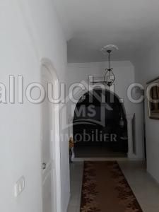 à vendre une maison S+3 à HAMMAMET NORD 51333131
