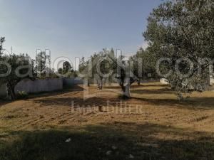 ارض للبيع في الحمامات 51333131