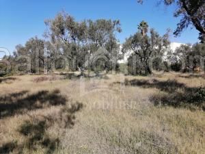 à vendre un terrain 429m² à MREZGA 51333131