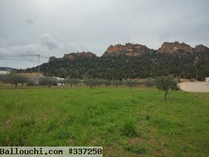 terrain a vendre avec vue sur colline
