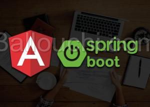 Formation Angular 11 & Spring Boot