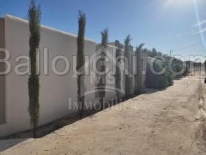 à vendre un superbe terrain à HAMMAMET SUD 51333131