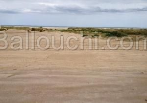 terrain.pied dans leau