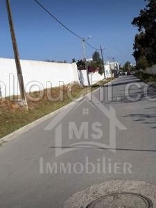à vendre un terrain à HAMMAMET NORD 51333131