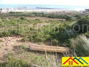 Lots des terrains de 583m2 et 250m2 a la plage el haouaria