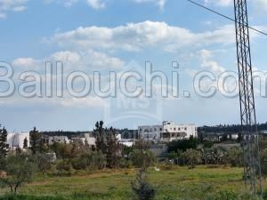 à vendre un superbe terrain à hammamet sud 51333131