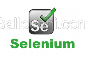 Formation pratique en Sélénium