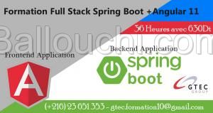 Formation Angullar 11 & Spring Boot