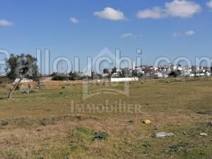 à vendre un terrain 55MD à HAMMAMET SUD 51333131