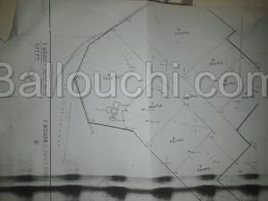 407 m2 terrain a Hammem lif