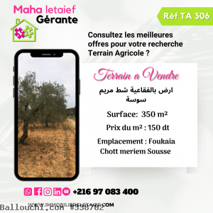 Terrain Agricole a Foukaia Chott meriem