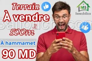 à vendre un terrain à HAMMAMET 51333131