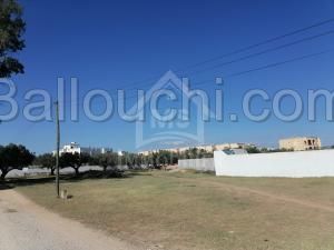 à vendre un terrain à HAMMAMET SUD 51333131