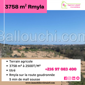 Terrain agricole sur la route goudronnée de 3758 m² a Rmila Chott mariem 