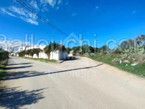 un superbe terrain à vendre à HAMMAMET 51333131