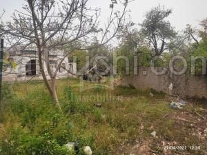 un terrain à vendre à HAMMAMET 51333131