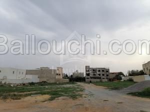 Un terrain à Mrezga à vendre à 125 MD 51355351