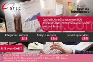 Formation Business Intelligence