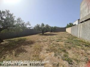 Terrain Azza T1020 Hammamet Mrezka